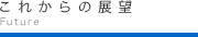 これからの展望